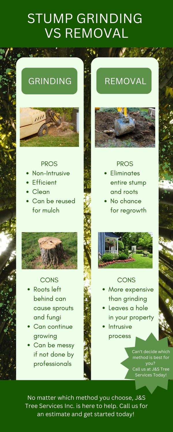 Stump Grinding Vs. Removal Which is Best for You? J&S Tree Service